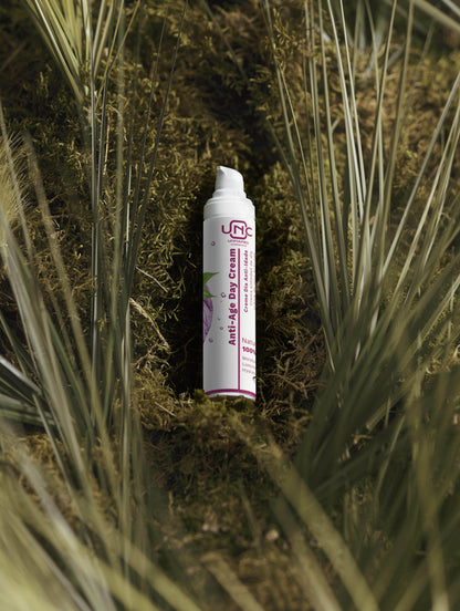 Creme antienvelhecimento natural em embalagem com informação clara entre folhas verdes